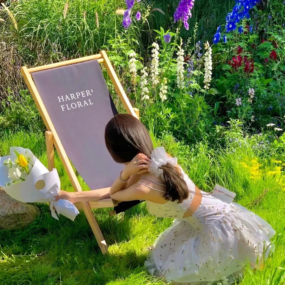 我的英雄学院第五季